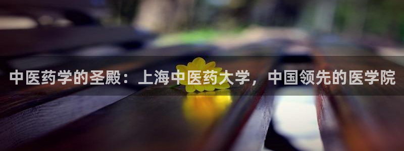 j9九游会登录