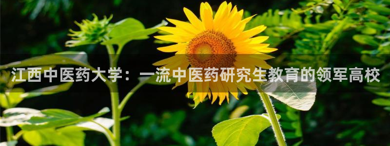 九游会官方网站中心
