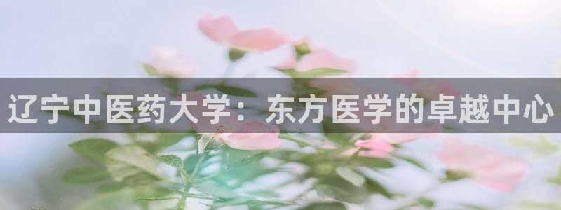 J9九游会登陆旧版