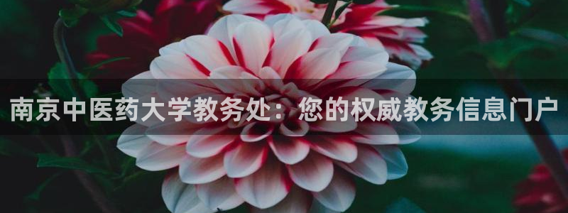 九游会ag真人官网在哪