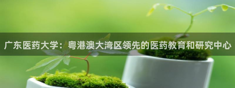 usdt九游会老哥俱乐部
