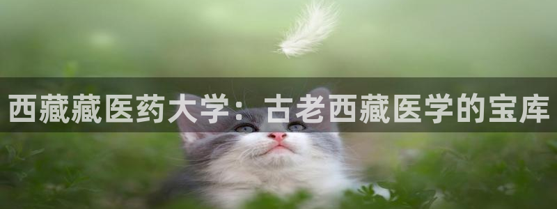 九游会国际厅