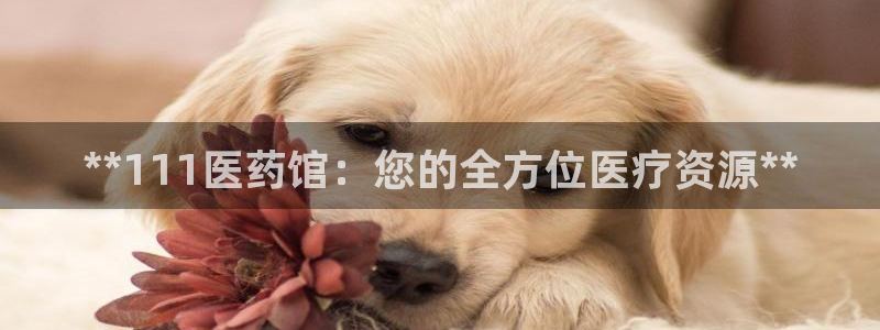 九游会集团正规吗