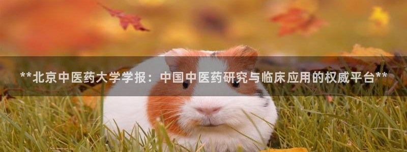 ag8亚洲九游会