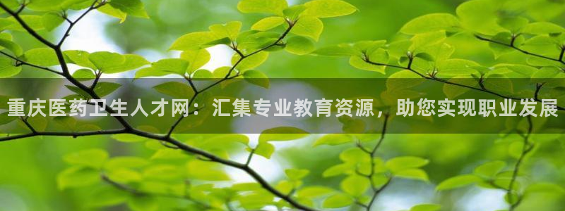 九游会官网站