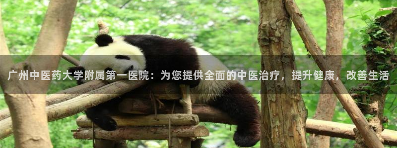 9游会老哥