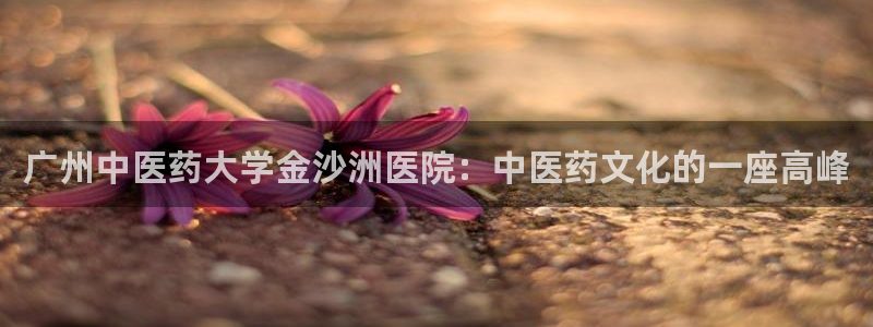 j9九游会老哥俱乐部成员