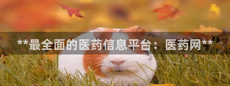 九游会个人中心登录页面