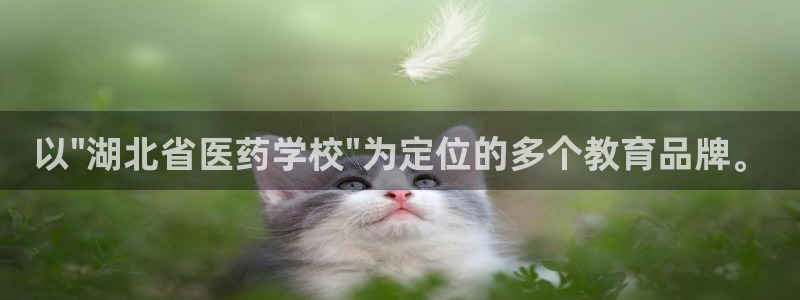 j9九游会老哥俱乐部官网
