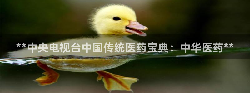九游会在线官方