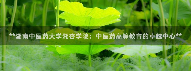 ag变成九游会