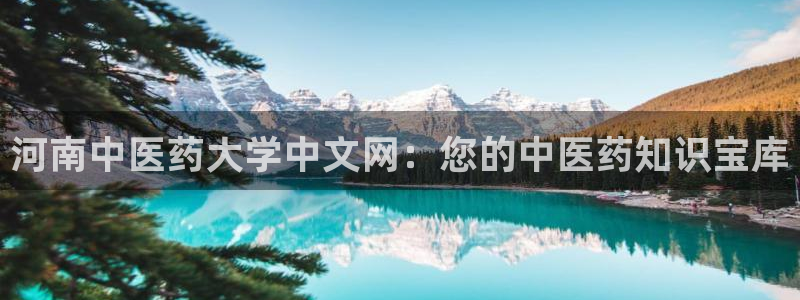九游会ag318