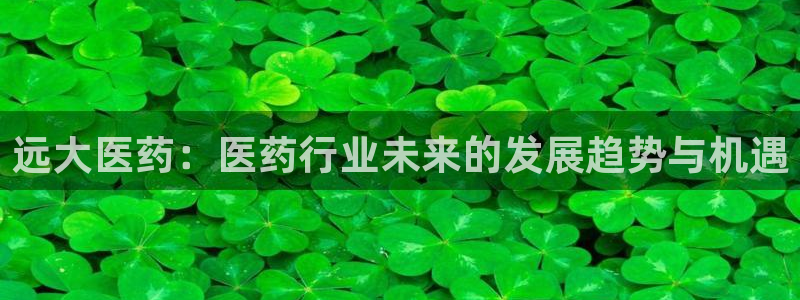 j9九游会官方网站国际怎么样