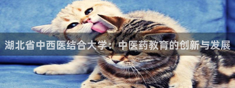 九游会j9官网