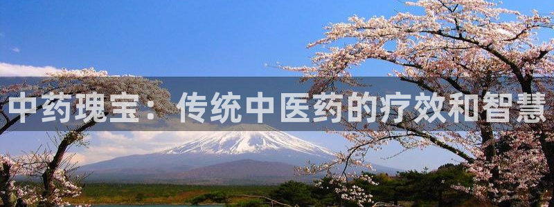 九游会网站打不开了