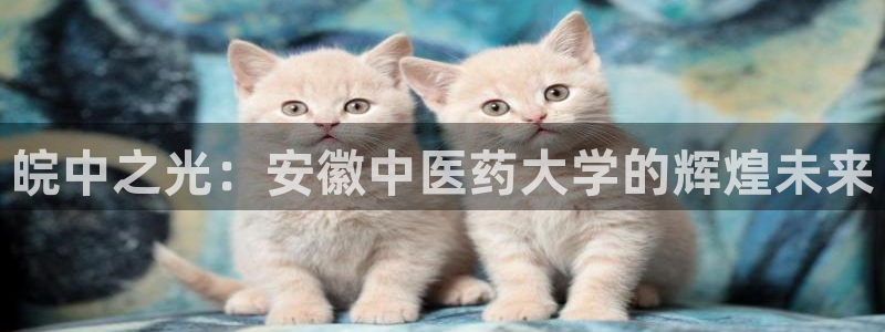 九游会网址登录不上