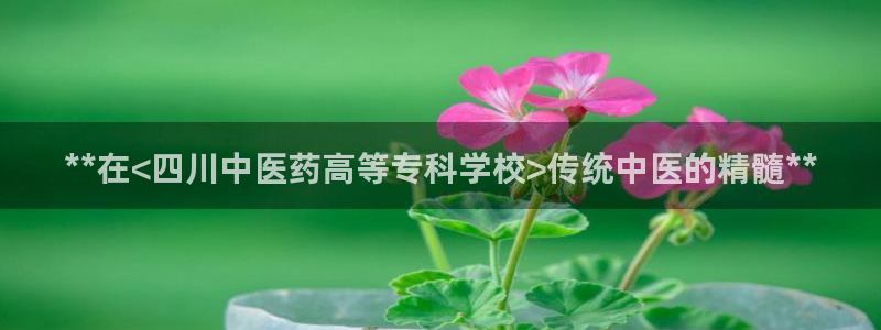 九游会首页