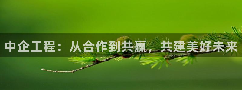 九游会亚洲第一