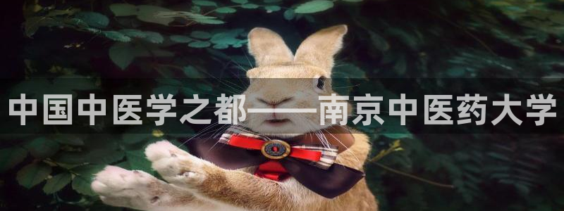 j9官网登录入口网页