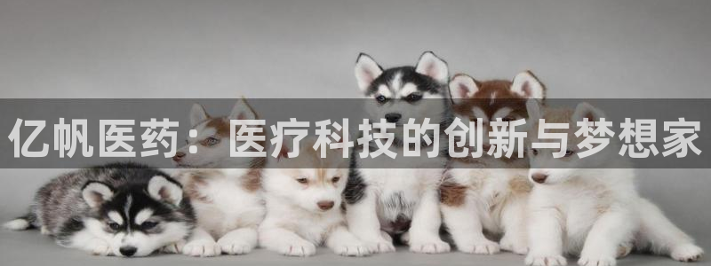 九游会电话