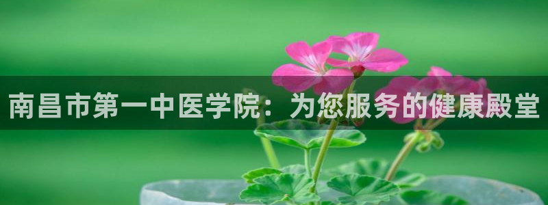 J9九游会是干嘛的
