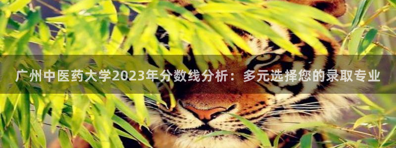 九游会是什么组织