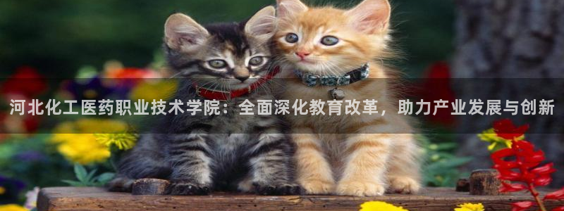 九游会官网下载