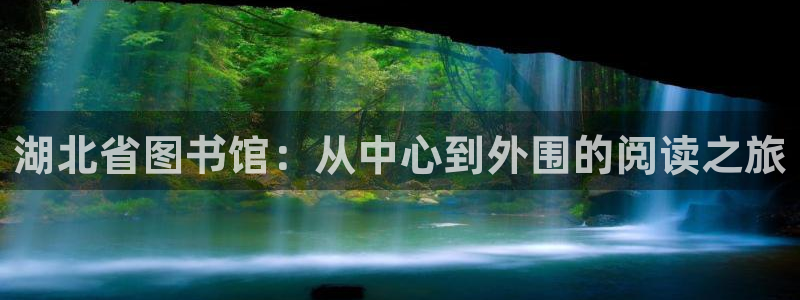 ag九游会vip8