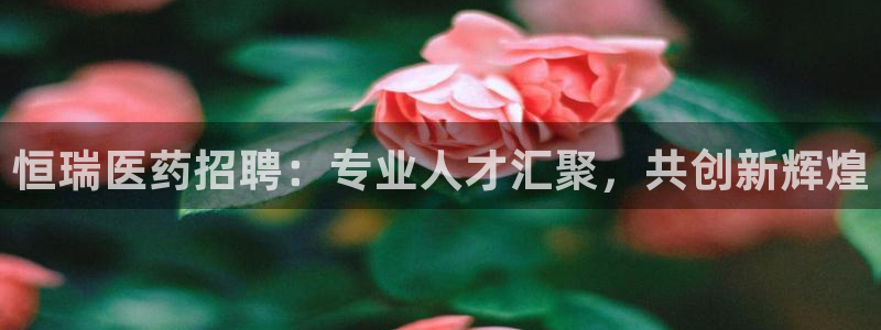 九游会ag官方网站在哪