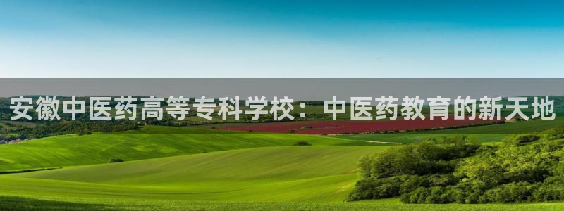 j9九游会会员日：安
