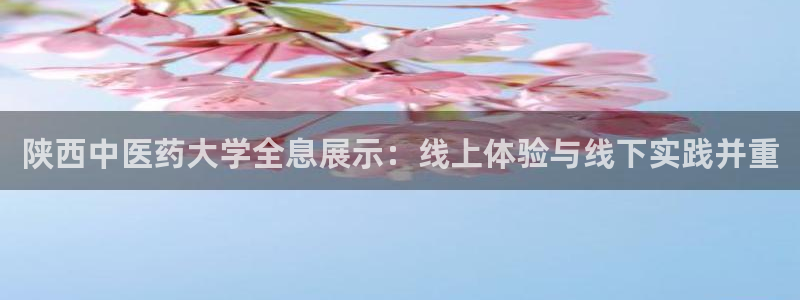 ag九游会