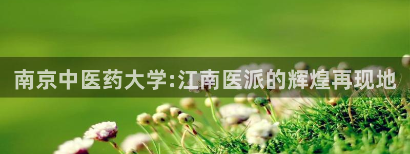 九游会官方选网址是j9.cm