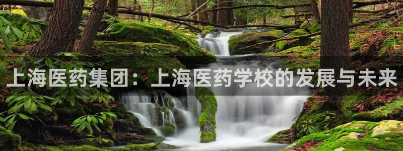 j9九游会会员日