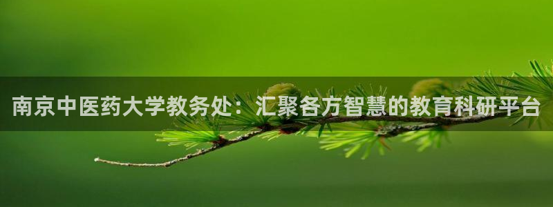 九游会网址九