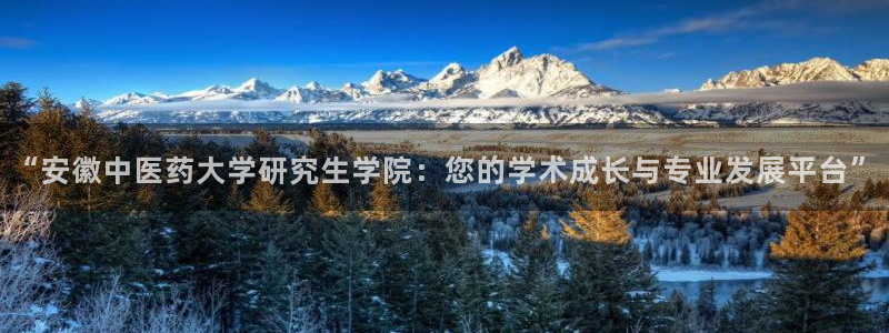 J9九游会登陆旧版