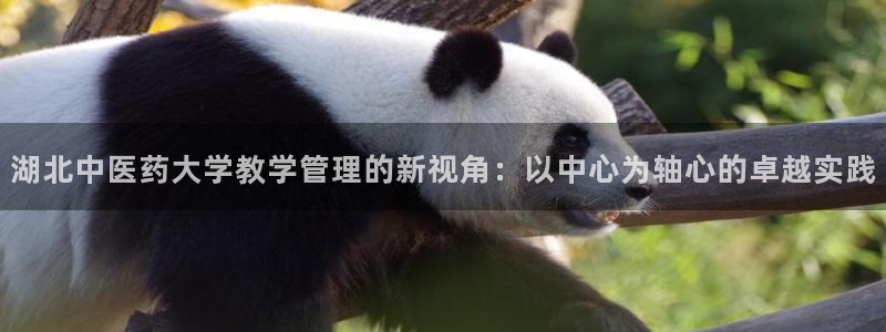 九游会官网登录中心官网