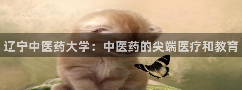 九游会上不去了