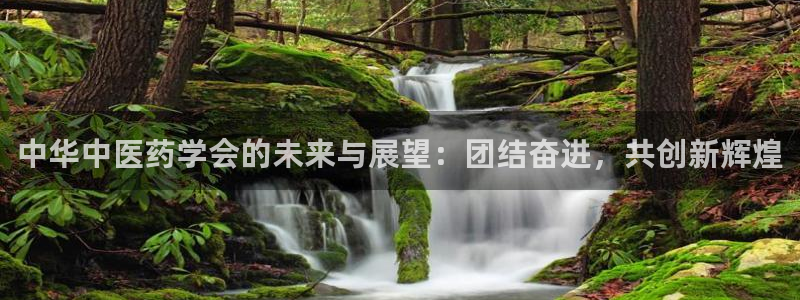 ag九游会登录网站