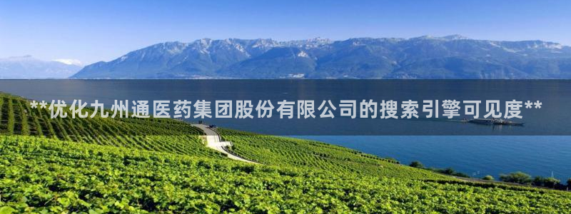 九游会登录网站吗