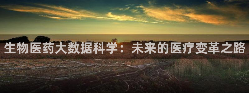 九游会平台登录不上