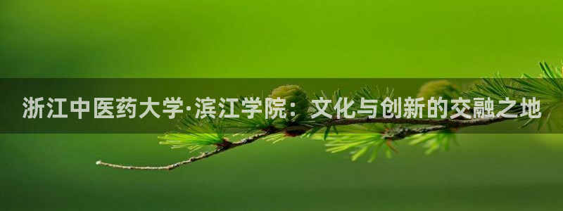 j9九游会跑路了吗