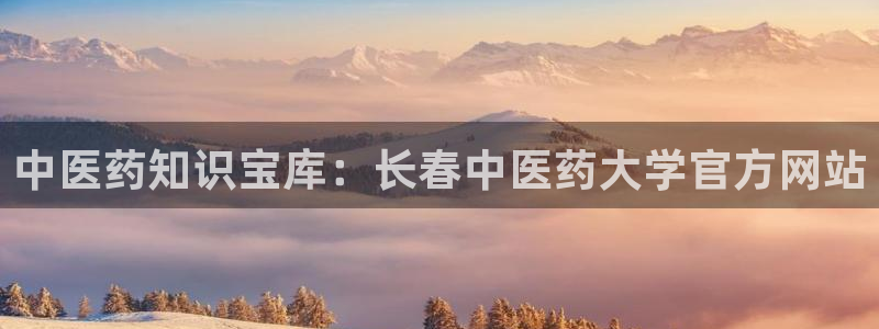 九游会中国官方网站