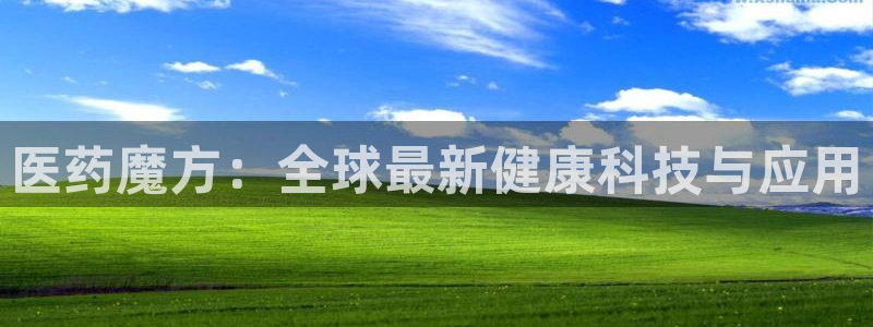 九游会是什么组织