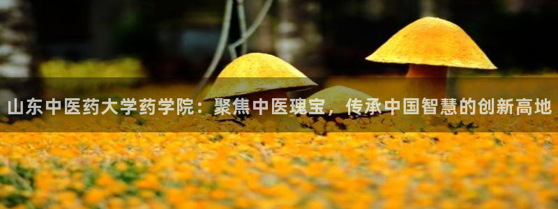 九游会老哥俱乐部论坛版