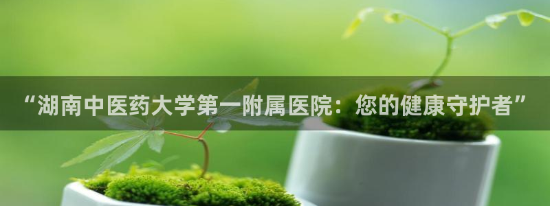 J9九游会官网-真人游戏第一品牌