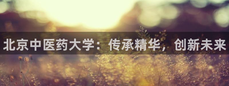 ag老帅百度百科