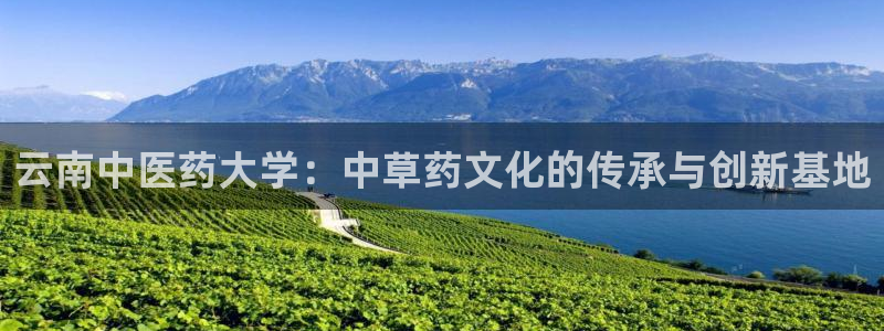 九游会首页官网