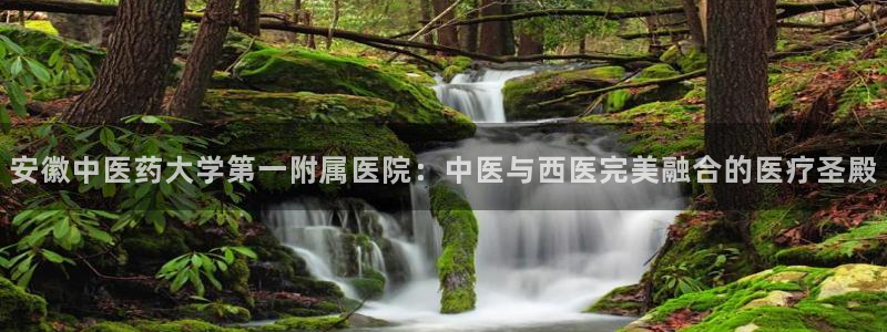 九游会上不去了