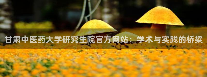 九游会网址登陆