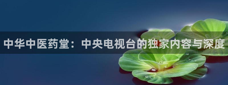 j9九游会首页登录新版